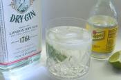 Tips For Pairing Gin N Tonic Water